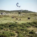 Pincheiro Turisticos