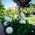 Pincheiro Turisticos Апарт-отель Пуэбла-дель-Караминьяль