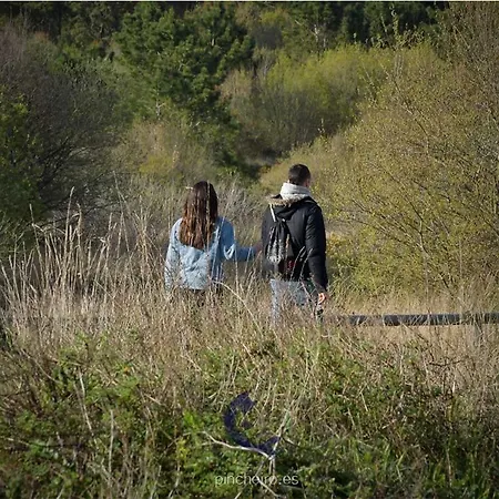 Pincheiro Turisticos Aparthotel