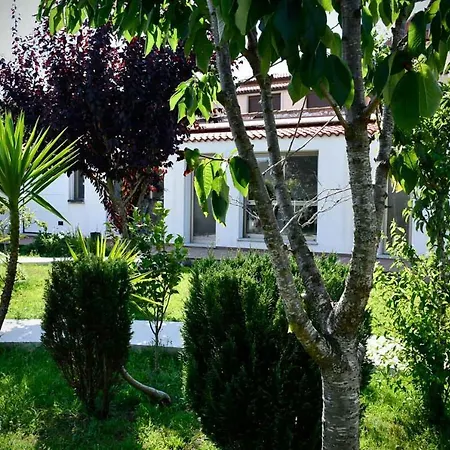 Pincheiro Turisticos